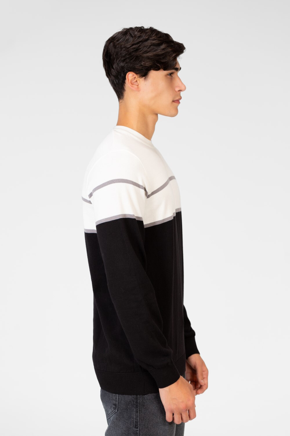 Men's Two Tone Crew Neck Sweater Pullover