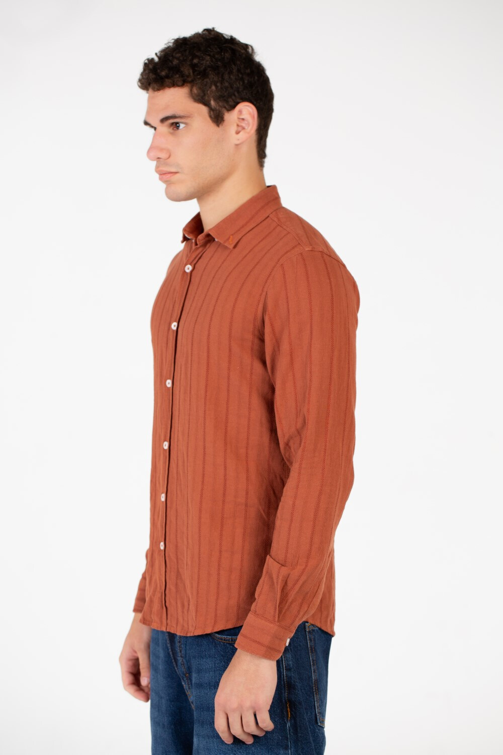 Men's Slim Fit Striped Poplin Shirt